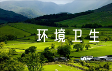 環(huán)境衛(wèi)生整治檢討書集合5篇