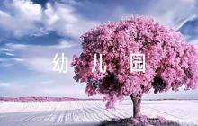 幼兒園臺風(fēng)應(yīng)急預(yù)案(通用7篇)