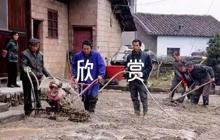經(jīng)典散文欣賞范文(通用8篇)