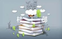 評(píng)價(jià)村干部的評(píng)語(yǔ)簡(jiǎn)單(合集5篇)