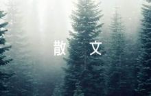 黨的抒情散文【9篇】