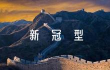 醫(yī)院新冠型肺炎應(yīng)急預(yù)案方案六篇