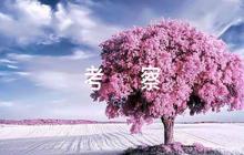 干部德能勤績(jī)廉考察評(píng)語(yǔ)范文(精選5篇)