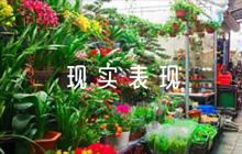 部隊(duì)現(xiàn)實(shí)表現(xiàn)簡(jiǎn)短范文八篇