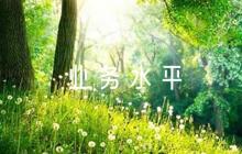 關(guān)于政治思想、工作表現(xiàn)、科研能力、業(yè)務(wù)水平的評(píng)語(yǔ)【五篇】