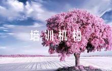 培訓(xùn)機(jī)構(gòu)疫情防控應(yīng)急預(yù)案范文七篇