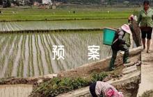 新冠肺炎應(yīng)急預(yù)案5篇