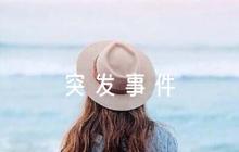 景區(qū)突發(fā)事件應(yīng)急預(yù)案范文(精選5篇)