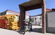 剪彩儀式邀請(qǐng)函集合4篇