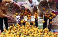 幼兒園食品安全突發(fā)事件應(yīng)急預(yù)案【8篇】