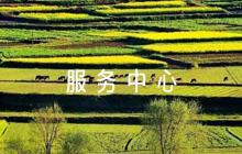 社區(qū)衛(wèi)生服務(wù)中心新冠疫情防控應(yīng)急預(yù)案五篇