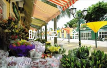 大學(xué)輔導(dǎo)員助學(xué)金評語范文(通用4篇)