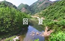 好評語30字餐飲回復(fù)范文(精選7篇)