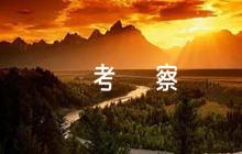 干部德能勤績廉考察評語9篇