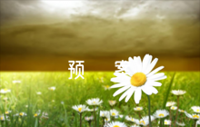 交通應(yīng)急預(yù)案范文(精選8篇)