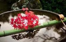 專業(yè)技術(shù)人員年度考核評語范文六篇