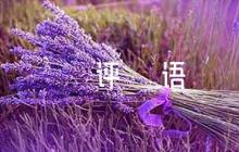 干部政治表現(xiàn)評語(通用8篇)