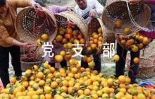 黨支部意見簡短評語范文(通用9篇)