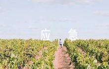 建設(shè)工地疫情防控工作應(yīng)急預(yù)案集合5篇