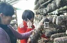機關(guān)事業(yè)單位疫情防控工作應(yīng)急預(yù)案6篇