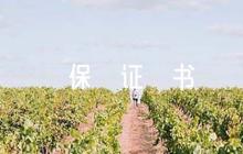 寫給女朋友的保證書集合9篇
