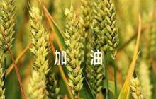 女子400米加油稿300字(通用5篇)