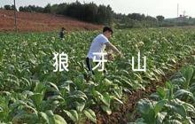 狼牙山五壯士教學反思簡單范文四篇