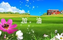 女子四百米加油稿200字【6篇】