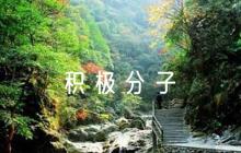 入黨積極分子考察情況評語范文(精選7篇)