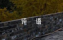 教學(xué)實(shí)踐指導(dǎo)教師評語范文(精選5篇)