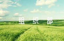 組織部談話評價領導的話語【六篇】