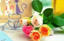 大雪節(jié)氣的優(yōu)美散文集合6篇