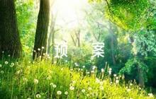 物業(yè)小區(qū)消防應(yīng)急預(yù)案集合7篇