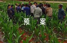 地質(zhì)災(zāi)害應(yīng)急預(yù)案范文(精選5篇)