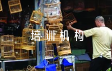 培訓機構(gòu)安全應(yīng)急預(yù)案8篇