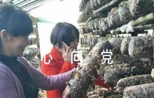 童心向黨手抄報(bào)內(nèi)容文字6篇