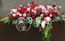關(guān)于市場監(jiān)督管理局實習報告【七篇】