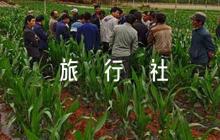 旅行社疫情防控應(yīng)急預(yù)案范文五篇