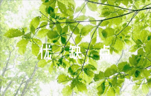 干部考察優(yōu)缺點評語四篇