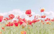 部隊體能訓(xùn)練新聞稿4篇