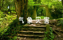 社區(qū)氣象災害應急預案范文(通用6篇)