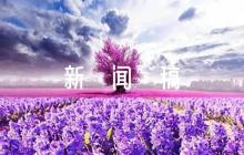 社工站幫扶困難家庭新聞稿范文(通用5篇)