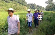 班主任評(píng)語勞動(dòng)【4篇】