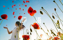 部隊(duì)干部考核評(píng)語【4篇】