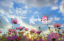 關(guān)于部隊新聞稿 【五篇】