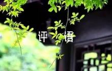 考察鑒定評(píng)語【5篇】