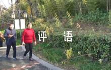 發(fā)展對(duì)象評(píng)語(yǔ)范文(精選5篇)