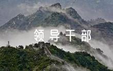 領(lǐng)導(dǎo)干部缺點(diǎn)不足評(píng)語(yǔ)范文(通用4篇)