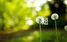 部隊(duì)鑒定評(píng)語(yǔ)士兵簡(jiǎn)短范文(通用6篇)