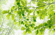 意識形態(tài)工作應(yīng)急預(yù)案意識形態(tài)應(yīng)急方案【4篇】